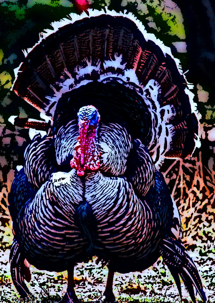 Happy Thanksgiving – Goal Setting – How Bill Bartmann Sets Goals for Achieving Anything.