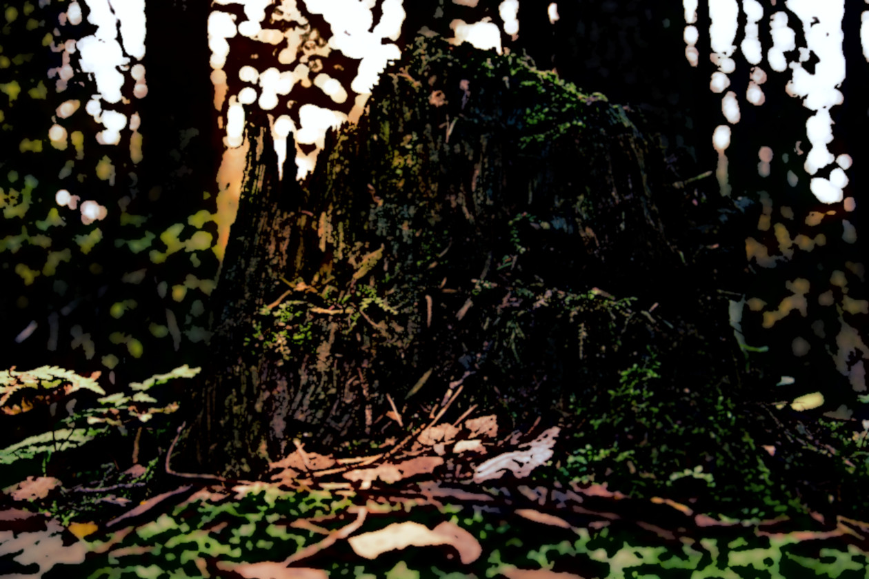 Update – The CoronaVirus – Why It’s Been Several Weeks Since My Last Post and Why It May be A While Before You Hear From Me Again.