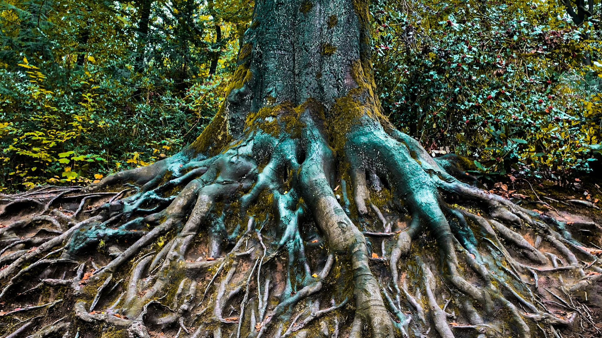 Industry Watch – Why Construction Claims Happen and What Procurement can do about it.